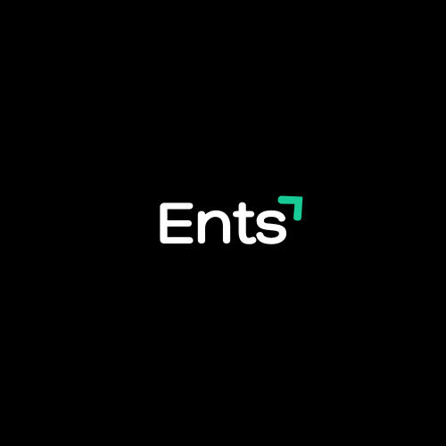 Ents web, estudio de diseno