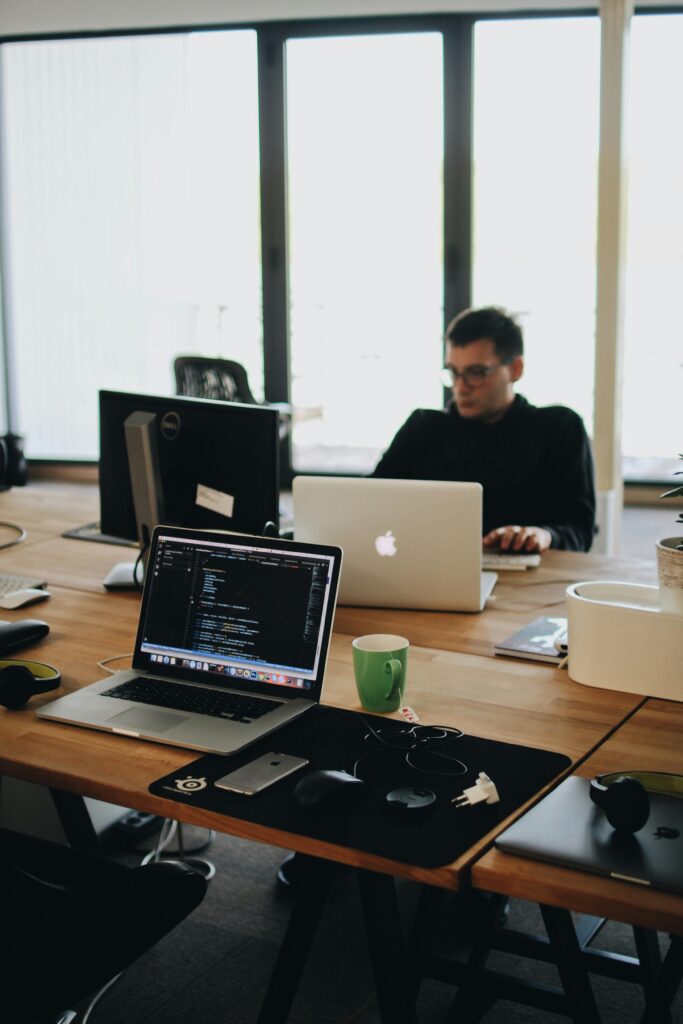 Diseñador web